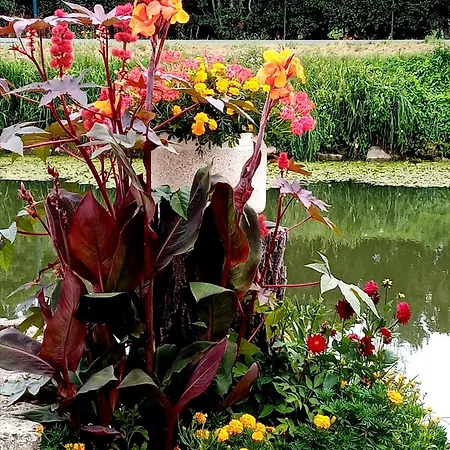 Marais Poitevin Nature Et Serein Vue Imprenable Sur La Riviere Calme Absolu Ideal Pour Familles Couples Voyageurs بيت للعطل La Taillee