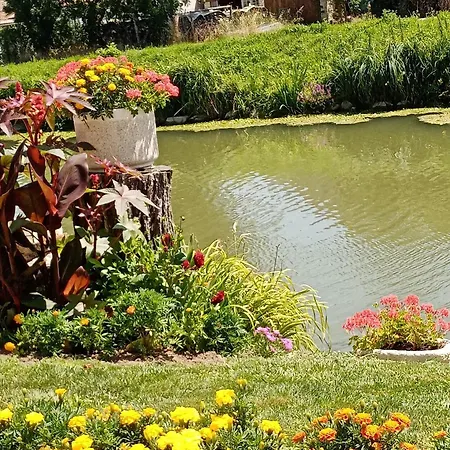 Marais Poitevin Nature Et Serein Vue Imprenable Sur La Riviere Calme Absolu Ideal Pour Familles Couples Voyageurs La Taillee