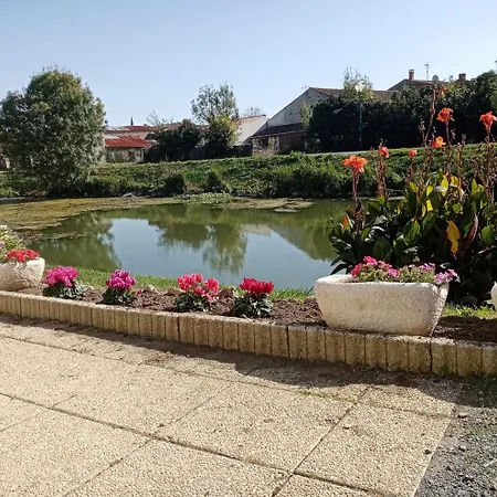 Marais Poitevin Nature Et Serein Vue Imprenable Sur La Riviere Calme Absolu Ideal Pour Familles Couples Voyageurs * La Taillee