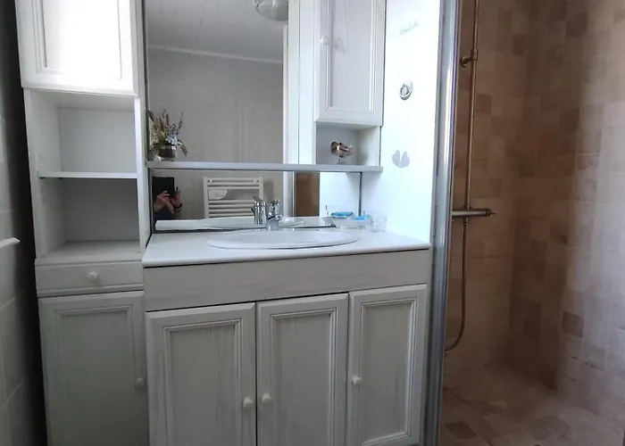 Prázdninový dům Marais Poitevin Nature Et Serein Vue Imprenable Sur La Riviere Calme Absolu Ideal Pour Familles Couples Voyageurs *