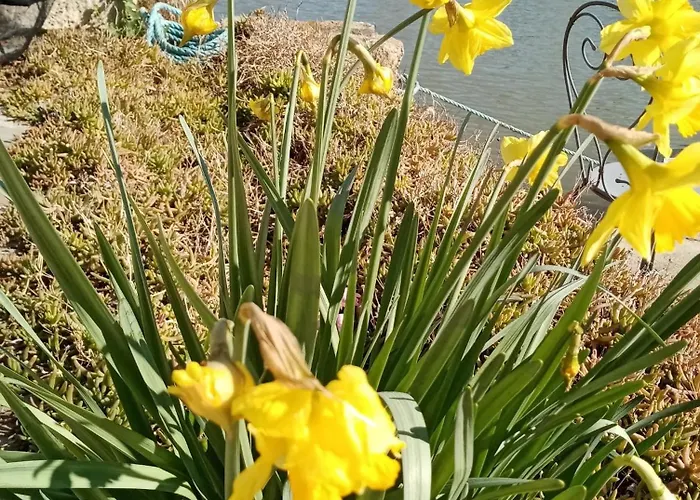 Marais Poitevin Nature Et Serein Vue Imprenable Sur La Riviere Calme Absolu Ideal Pour Familles Couples Voyageurs *