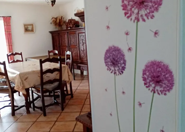 Marais Poitevin Nature Et Serein Vue Imprenable Sur La Riviere Calme Absolu Ideal Pour Familles Couples Voyageurs *