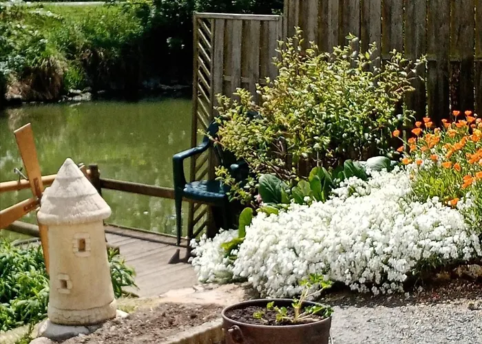 Marais Poitevin Nature Et Serein Vue Imprenable Sur La Riviere Calme Absolu Ideal Pour Familles Couples Voyageurs La Taillee