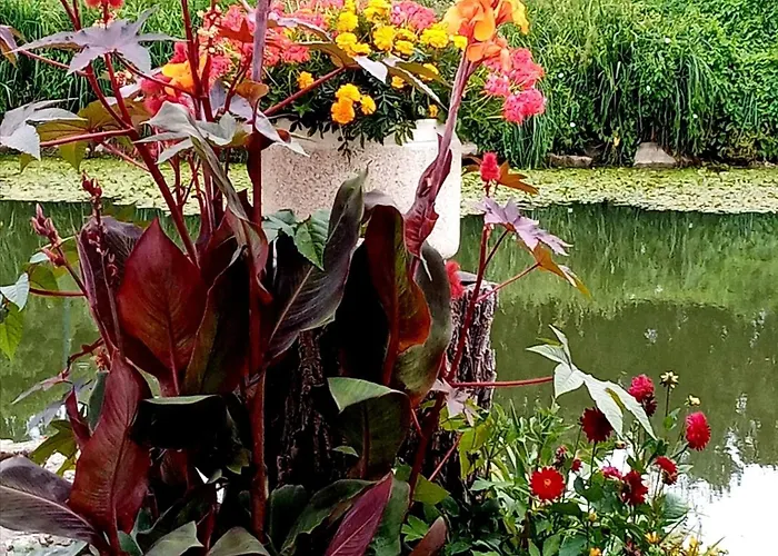 Marais Poitevin Nature Et Serein Vue Imprenable Sur La Riviere Calme Absolu Ideal Pour Familles Couples Voyageurs Prázdninový dům La Taillee