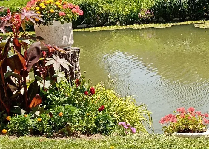 Marais Poitevin Nature Et Serein Vue Imprenable Sur La Riviere Calme Absolu Ideal Pour Familles Couples Voyageurs La Taillee