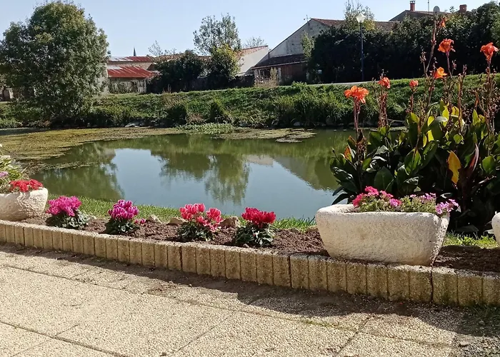 Marais Poitevin Nature Et Serein Vue Imprenable Sur La Riviere Calme Absolu Ideal Pour Familles Couples Voyageurs * La Taillee